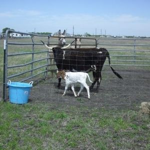 Meet your Posher, Becky